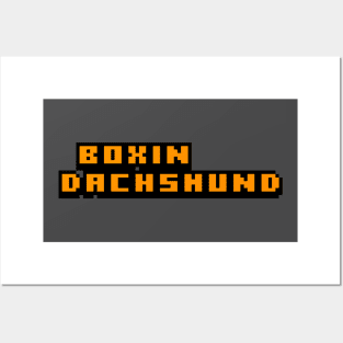 8-bit Boxin Dachshund Posters and Art